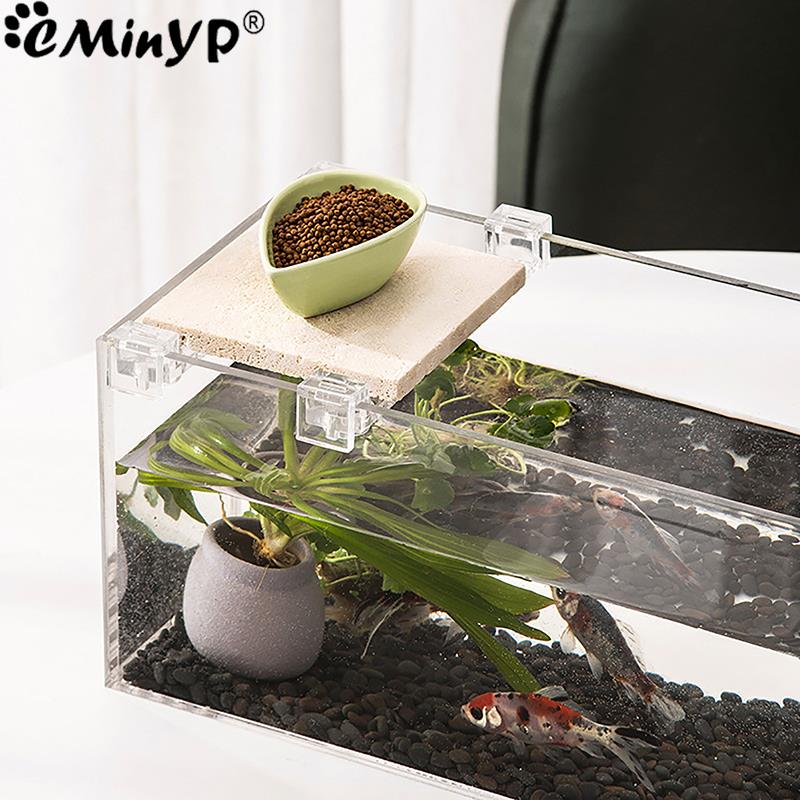 Clips acryliques pour Aquarium - Aquarium Fish Photography avis et prix